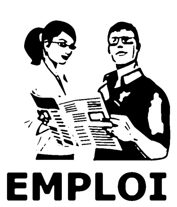 Offre d’emploi : Développeur PHP