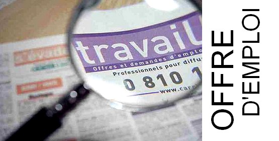 Offre d’emploi : Ingénieur analyse- développement informatique