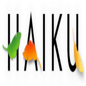 Haiku R1A4