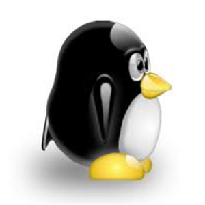 Et 2013 sera tout mobile