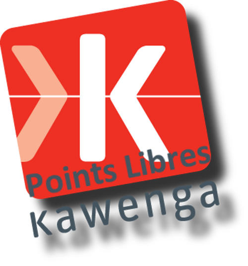 Points Libres – Février 2013 (Blender – OpenStreetMap)