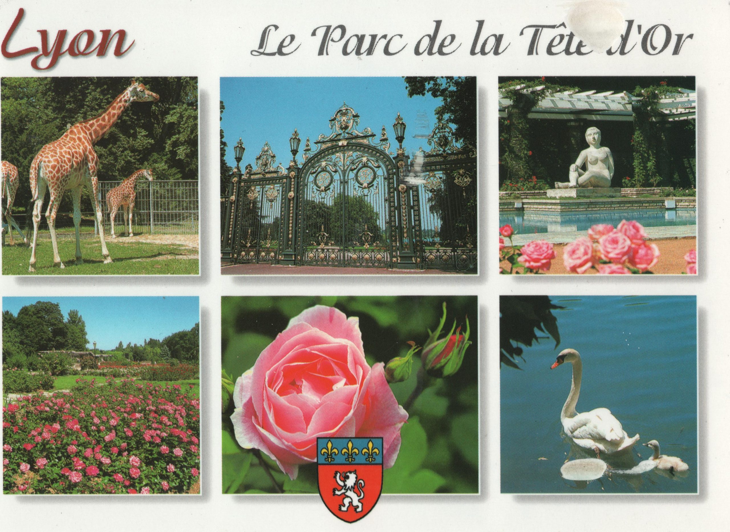 L’asso reçoit du courrier du Parc de la Tête d&rsquo;Or à Lyon