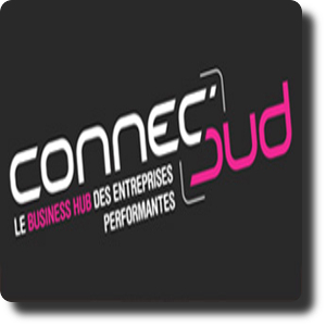 Connec&rsquo;Sud 2015 à Montpellier