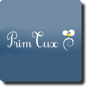 Focus sur PrimTux