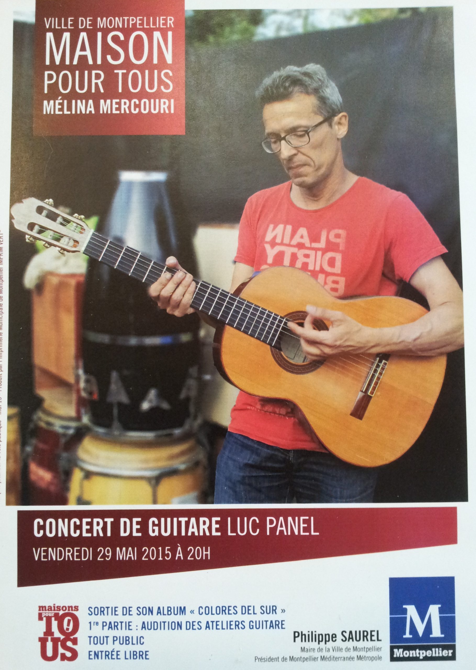 guitare_luc_panel.jpg