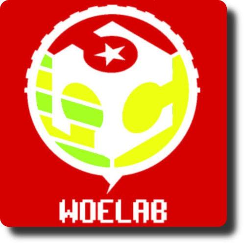 WoeLab le JerryClan du Togo a fêté ses deux ans d&rsquo;existence