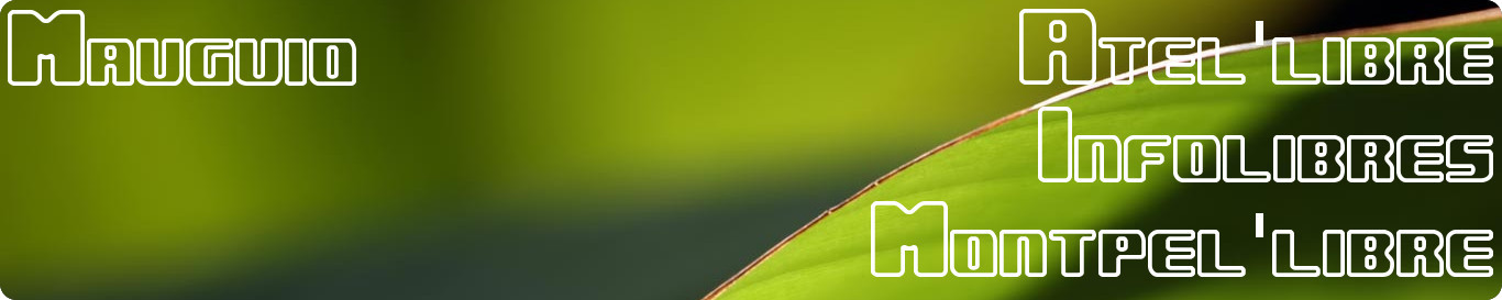 Infolibres permanence à Mauguio – Octobre 2015
