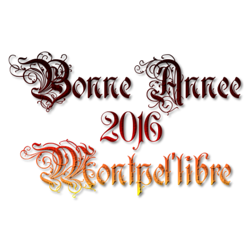 Bonne Année 2016