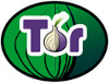 tor-network.jpg