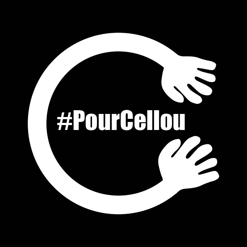 pourcellou_diavd.jpg