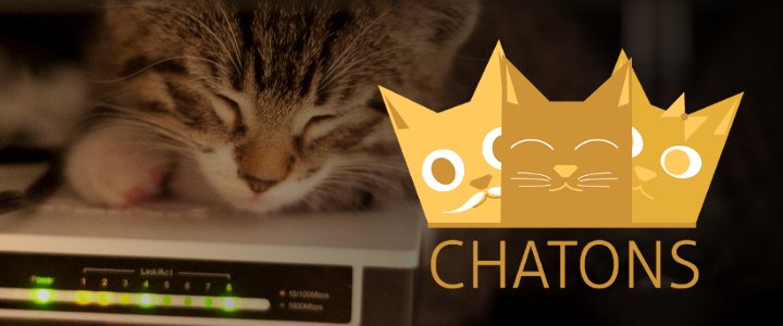 chatons-slide.jpg