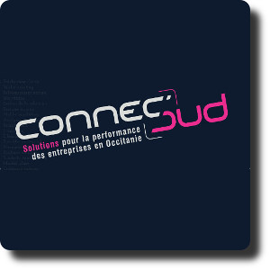 Connec&rsquo;Sud 2017 à Montpellier