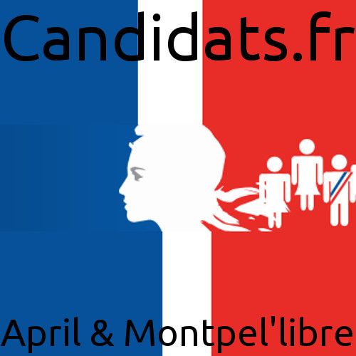 candidatsfr_legislatives2017.jpg
