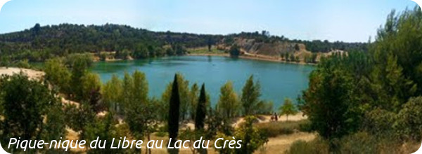 lacducres_600x220.jpg