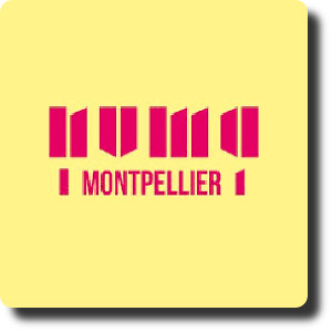 Petit déjeuner Openflow, NUMA & French South Digital