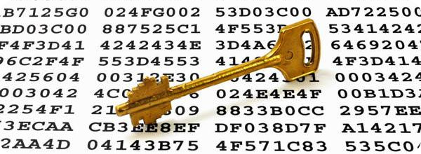 pgp_600x220.jpg