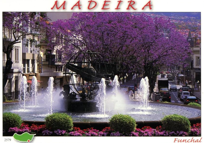 carte_madeira.jpg