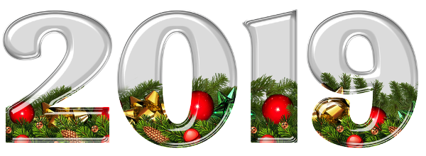 bonne_annee_2019_600x220.png