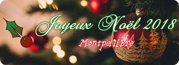 joyeuxnoel2018.jpg
