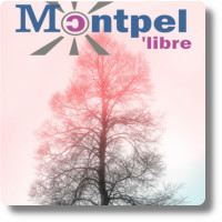 Journal | Libellule n°120 | Monde | Mars 2019