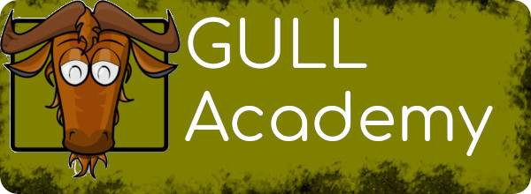gull_academy_600x220_.jpg