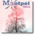 libellule120_couverture_logo70.jpg