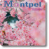 libellule121_couverture_logo70.jpg