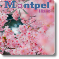Journal | Libellule n°121 | Monde | Avril 2019