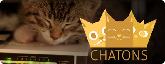 chatons_600x220.jpg