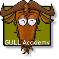 Événement | GULL Academy étape#02 | Montpellier | Juillet 2019