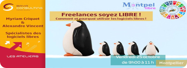 soyez-libre_baya_montpellier_600x220_20191025.jpg