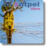 Journal | Libellule n°128 | Monde | Novembre 2019