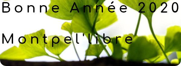 bonneannee2020_600x220.jpg