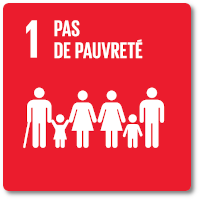 Webinaire | API ODD Day 01 – Pas de pauvreté | Montpellier/Lomé | Mai 2020 (en ligne)