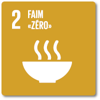Webinaire | API ODD Day 02 – Faim zéro | Montpellier/Lomé/Abidjan | Juin 2020 (en ligne)