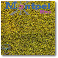 Journal | Libellule n°138 | Monde | Septembre 2020