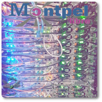 Journal | Libellule n°145 | Monde | Avril 2021