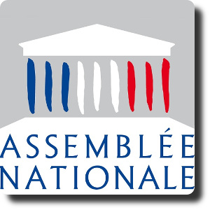 Information | Rapport sur les géants du numérique | France | Août 2021