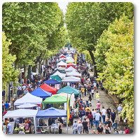 Événement | Les Associations font les allées | Béziers | Septembre 2021