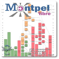 Journal | Libellule n°152 | Monde | Novembre 2021