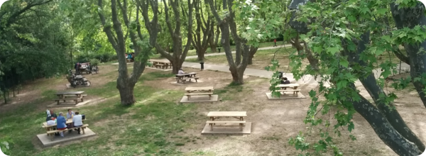 parc_rimbaud_600x220.png