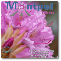 Journal | Libellule n°164 | Monde | Novembre 2022