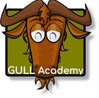 GULL Academy