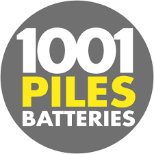 1001 Piles Batteries
